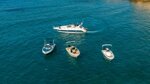 boat-tour