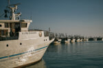 sciacca-marinara
