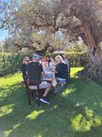tour-in-the-olive-grove-with-tasting