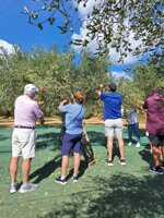 olive-harvesting