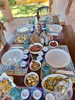 tour-in-the-olive-grove-with-tasting