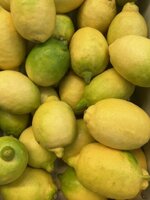 limoni-165-kg