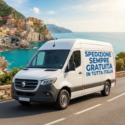 spedizione gratuita