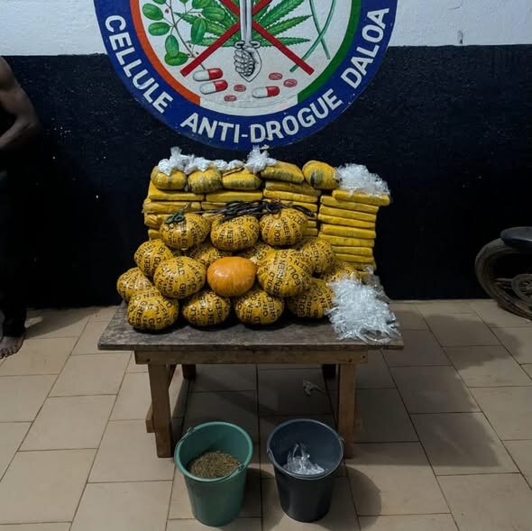 Daloa : Plusieurs kilos de drogue saisis et quatre trafiquants interpellés à Gbokora