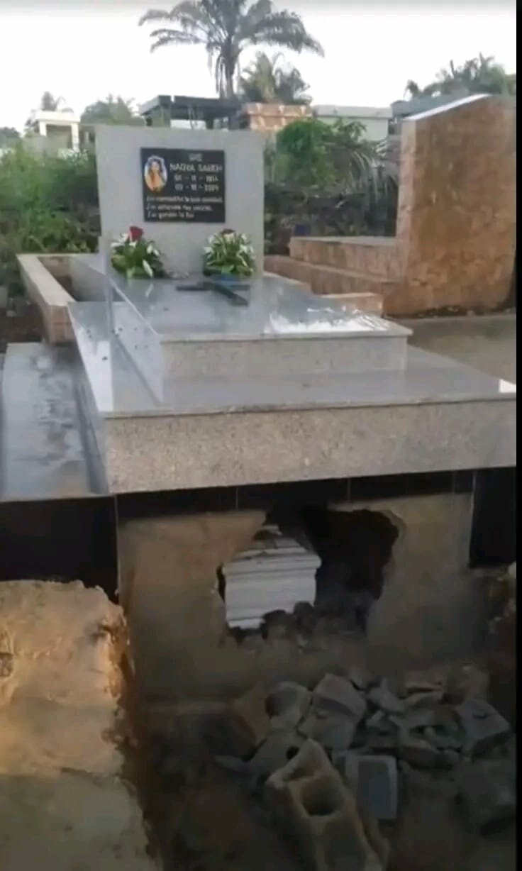 596636695_1357531089751983_8106506139235016539_n.jpeg 596636695_1357531089751983_8106506139235016539_n.jpeg