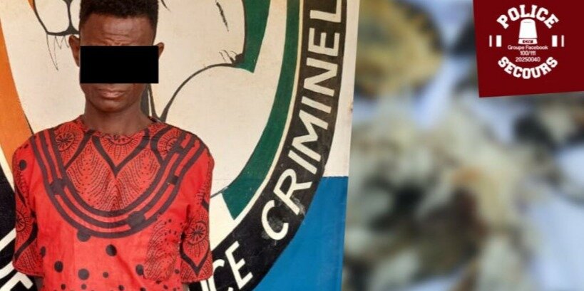 5453-556782677_1302780761640898_437723850290532612_n.jpeg 5453-556782677_1302780761640898_437723850290532612_n.jpeg