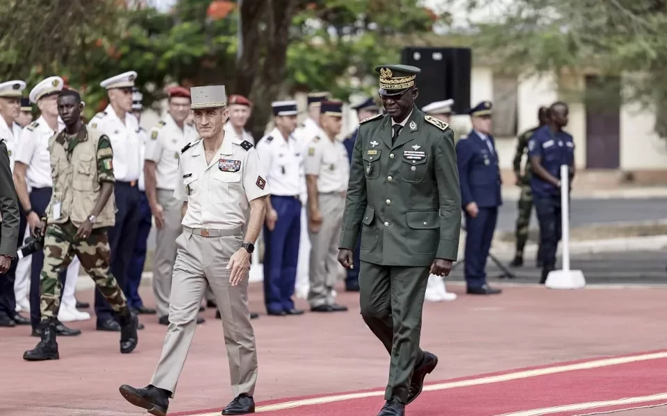 img_2299.webp img_2299.webp