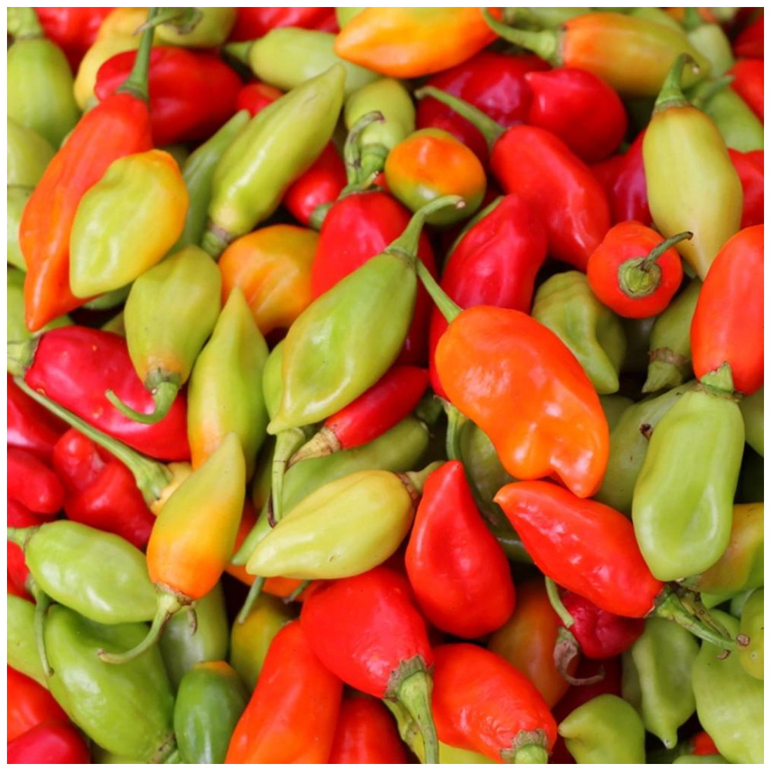 piments-vegetariens.png
