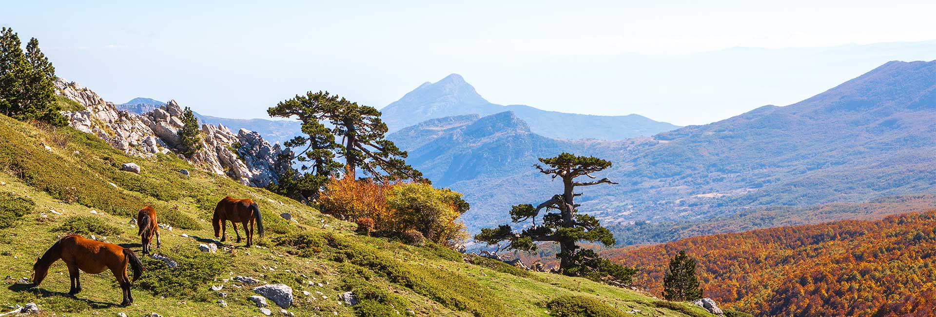 Il Pollino