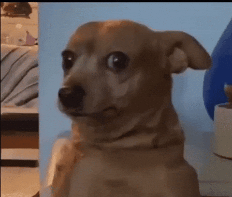 ct-gif