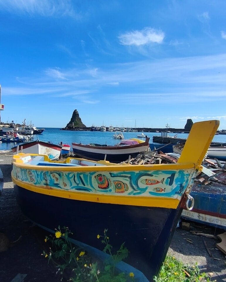 484362764_1208919414126566_6138391101858093138_n.jpeg 484362764_1208919414126566_6138391101858093138_n.jpeg