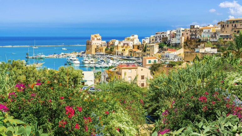 castellammre from garden .jpeg
