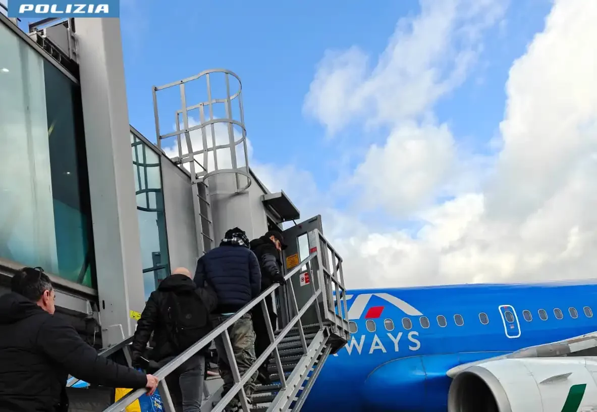 1769847005-1.webp 1769847005-1.webp