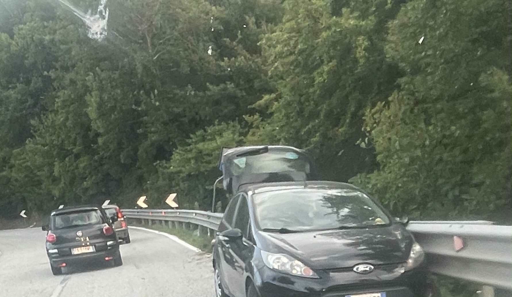 40f956ea-b4eb-4353-a347-22b204991d2d.jpeg 40f956ea-b4eb-4353-a347-22b204991d2d.jpeg