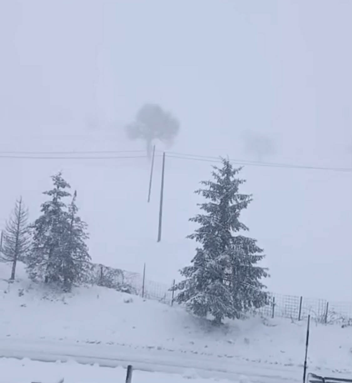 neve.jpeg neve.jpeg