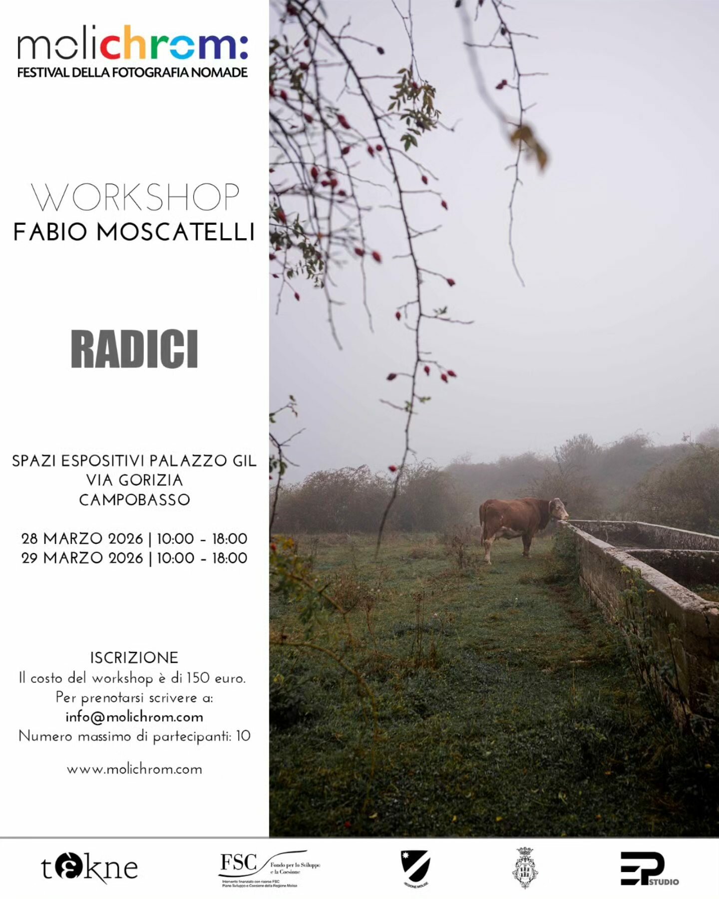 Molichrom presenta 'RADICI': un workshop di storytelling fotografico con Fabio Moscatelli a Campobasso