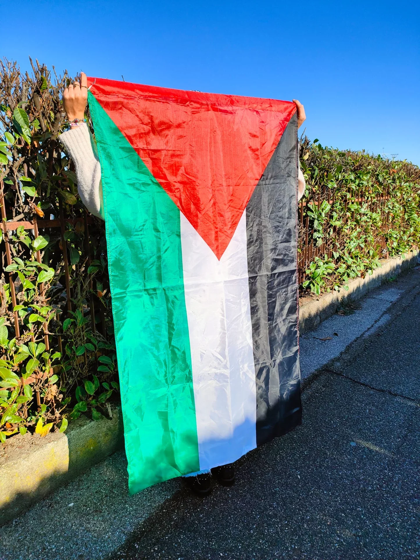 Attivisti pro-Palestina manifestano a Campobasso