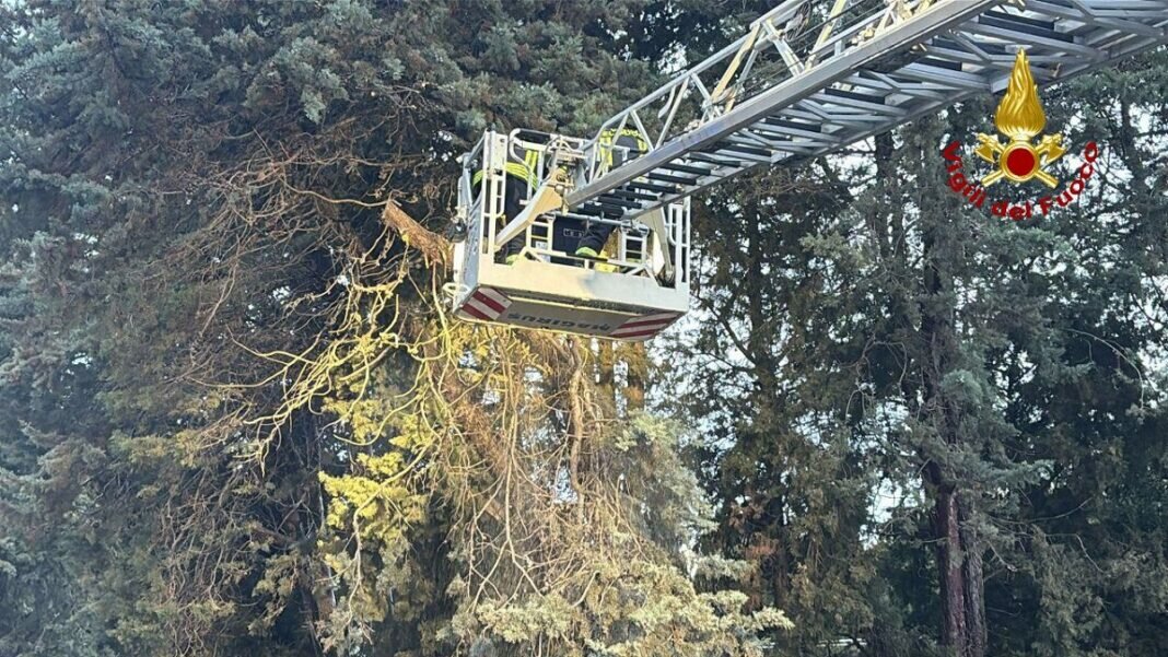 🚒 Vigili del Fuoco in azione: rami pericolanti e strade chiuse tra Casalciprano e Termoli