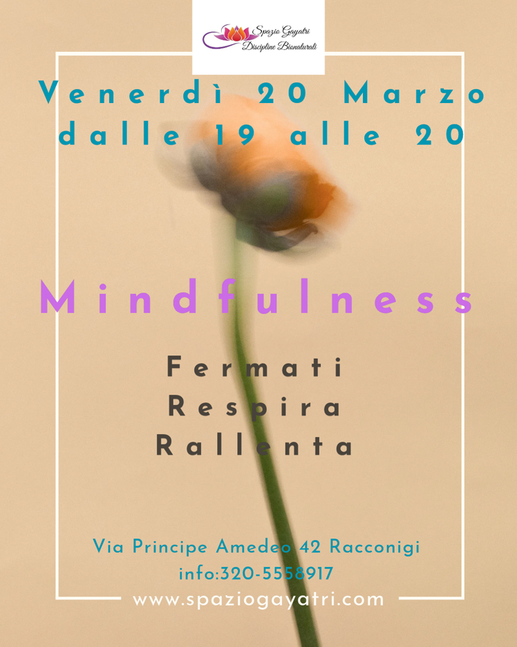 beige verde minimalista mindfulness open day post instagram_20260228_212335_0000 beige verde minimalista mindfulness open day post instagram_20260228_212335_0000