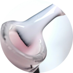 top-milk-rose