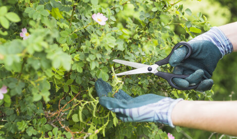male-worker-cleaning-solar-panels.jpeg