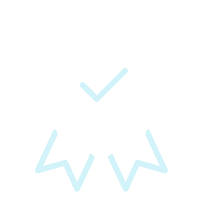 wired-outline-3234-badge-ribbon-check-hover-pinch