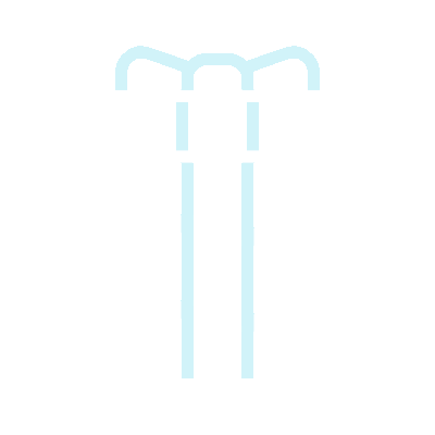wired-outline-2971-gift-2-hover-pinch