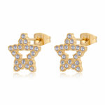 orecchini-donna-sagapo-twinkle-acciaio-pvd-oro-stella-con-cristalli-swn26