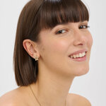 orecchini-donna-sagapo-twinkle-acciaio-pvd-oro-stella-con-cristalli-swn26