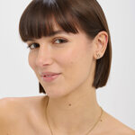 orecchini-donna-sagapo-twinkle-acciaio-pvd-oro-luna-con-cristalli-swn28