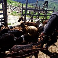 2.2%20attenzione.jpeg 2.2%20attenzione.jpeg