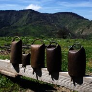 4.2%20i%20eÌghe%20campanaÌre.jpeg 4.2%20i%20eÌghe%20campanaÌre.jpeg