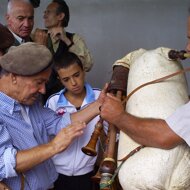 2.4%20affeÌ,%20affeÌ.jpeg 2.4%20affeÌ,%20affeÌ.jpeg