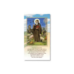 cartoncino-benedizioni-con-santantonio-abate-benedizione-animali-confezione-da-100-pezzi-novita-2026-ref-015070132