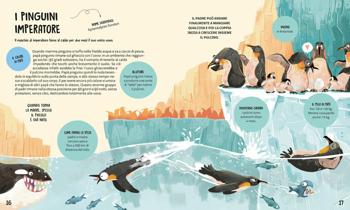 i-pinguini-imperatore