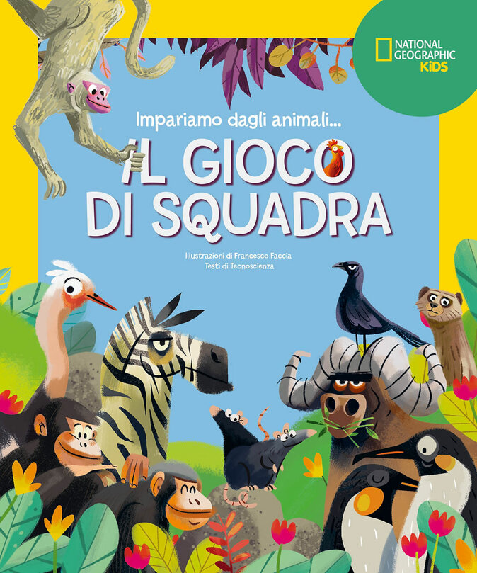 il-gioco-di-squadra-copertina-libro