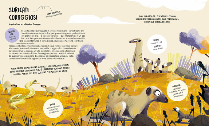 suricati-coraggiosi