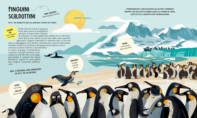 pinguini-scaldottini