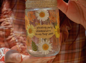 dsc02008.jpeg dsc02008.jpeg