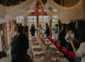 dsc07295.jpeg dsc07295.jpeg