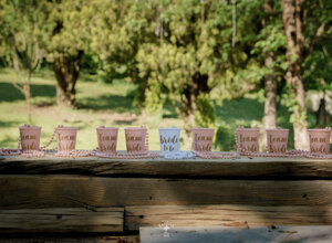 dsc03078.jpeg dsc03078.jpeg