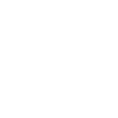 logo grigio e bianco