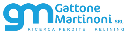logo gattone & martinoni srl