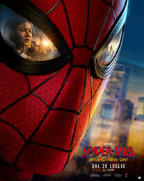 spider.jpeg