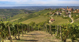 langhe-roero-gran-tour-grangiro-bike-tours-835x450
