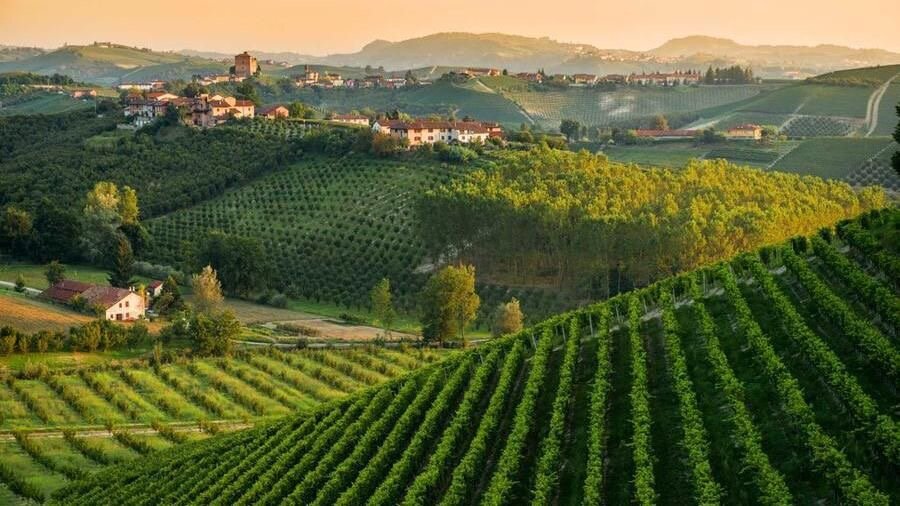 Il progetto di re-branding per un resort nel Monferrato