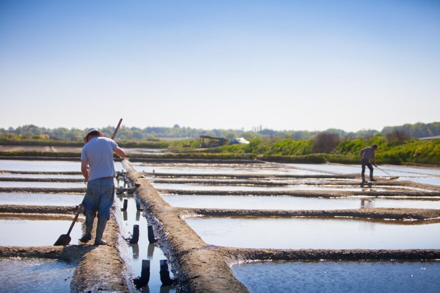 Guerande salt