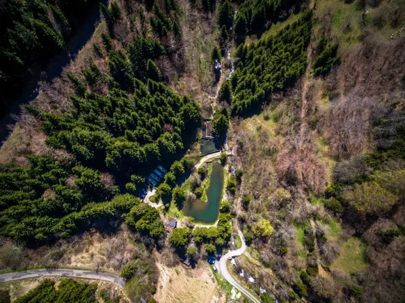 photodrone
