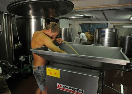 extra virgin olive oil, pasta, organic, Italy