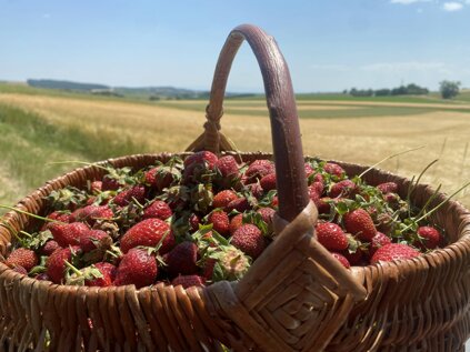 strawberrys.jpeg